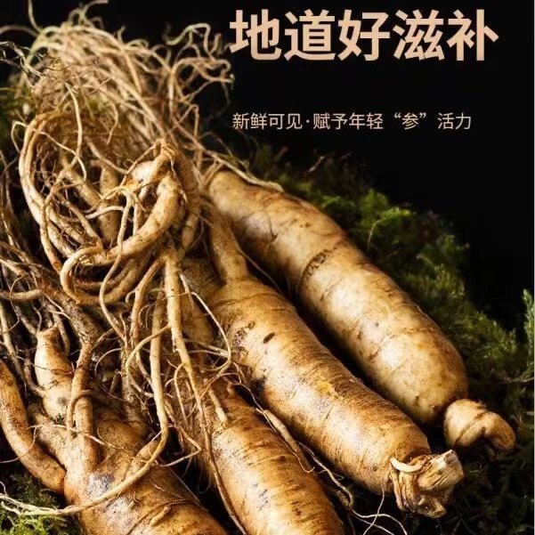 长白山鲜人叁（足5年）500g一斤装精选食用健康纯正煲汤正宗煮粥