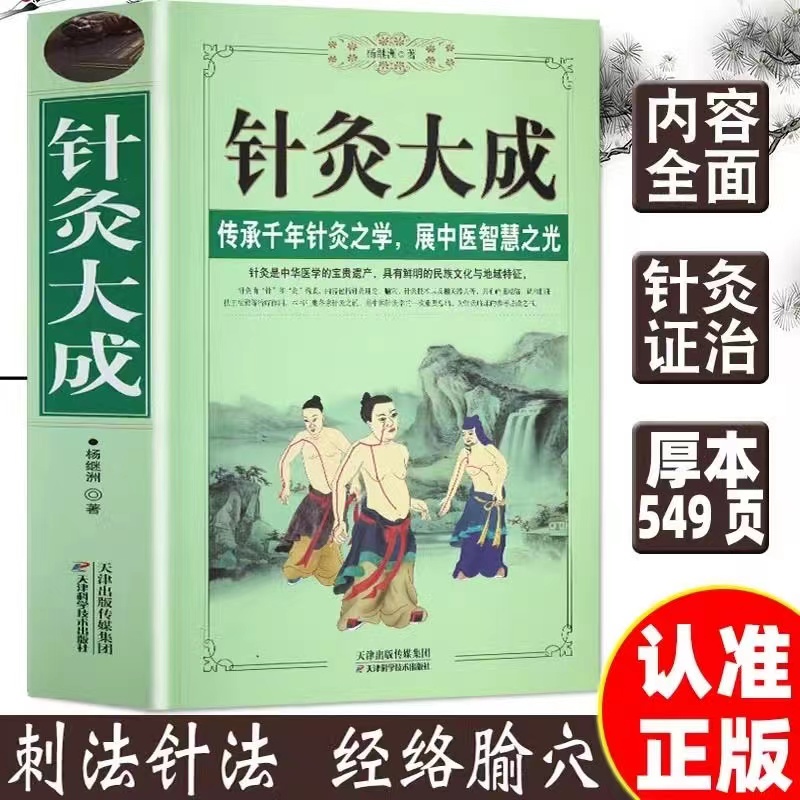 针灸大成-原文集注白话解完整版中医