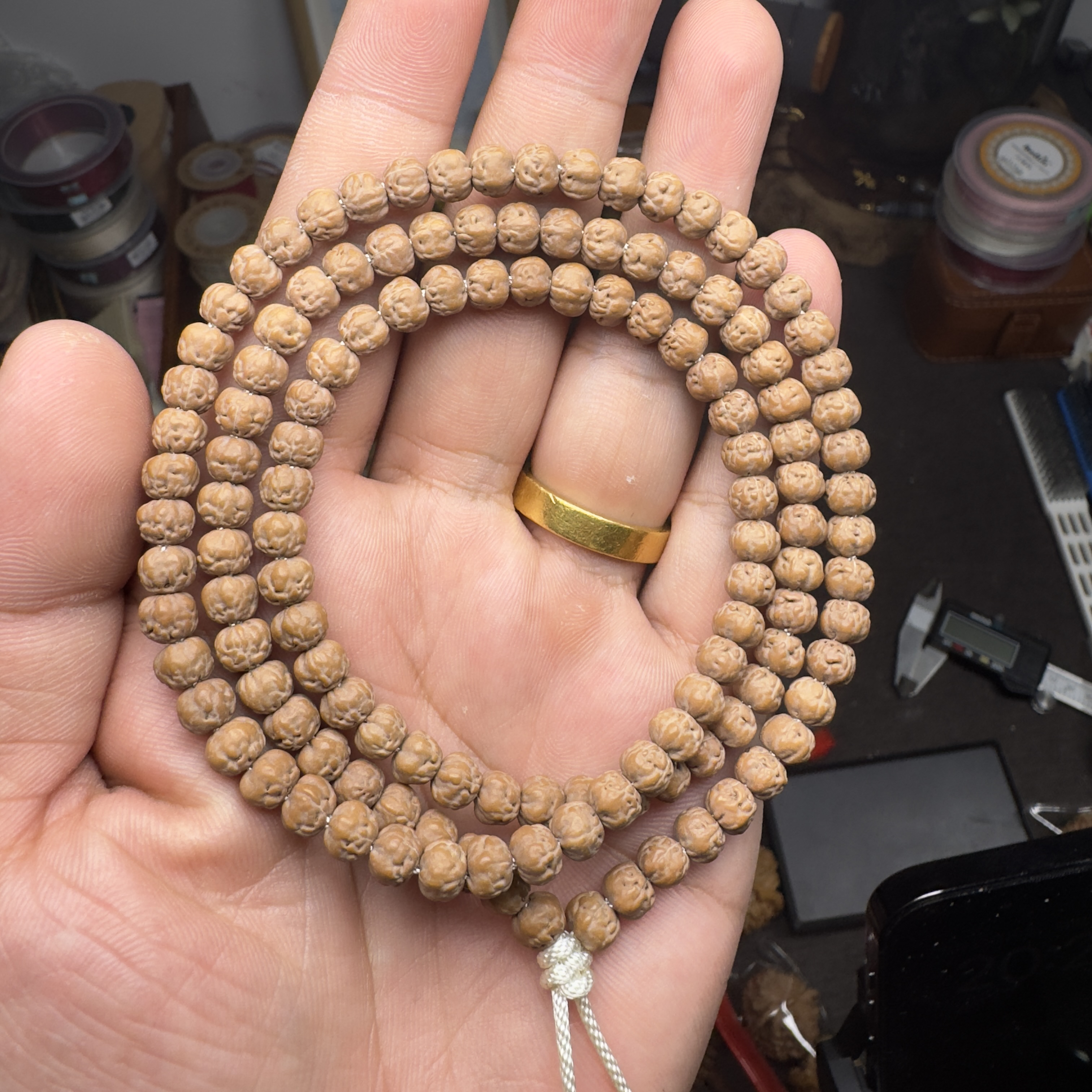 佛手小金刚 g+++