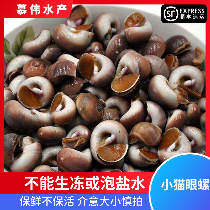 4斤小猫眼螺1斤平均280粒(部分带黄不能生冻或泡盐水)保鲜不保活