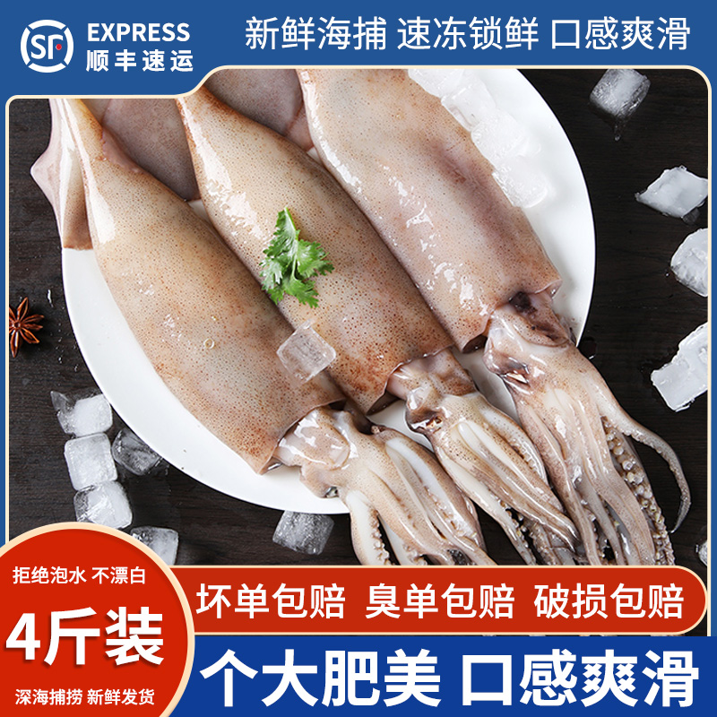 新鲜深海鱿鱼4斤无冰鲜活捕捞速冻海鲜火箭铁板鱿鱼渤海湾