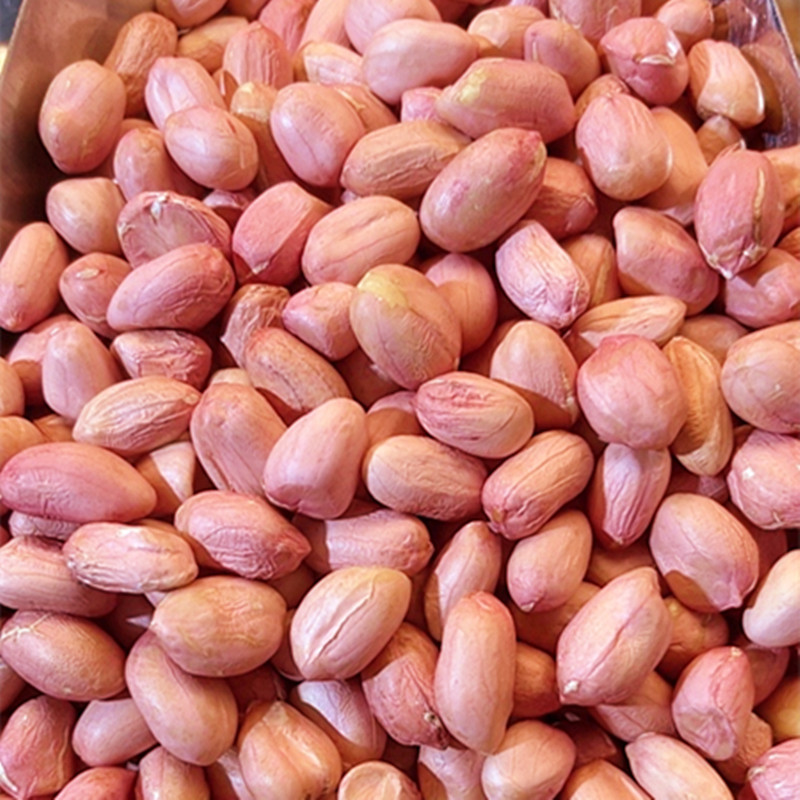 2024年新货上市花生米新鲜大颗粒5斤3斤10斤河南南阳大白沙农产品
