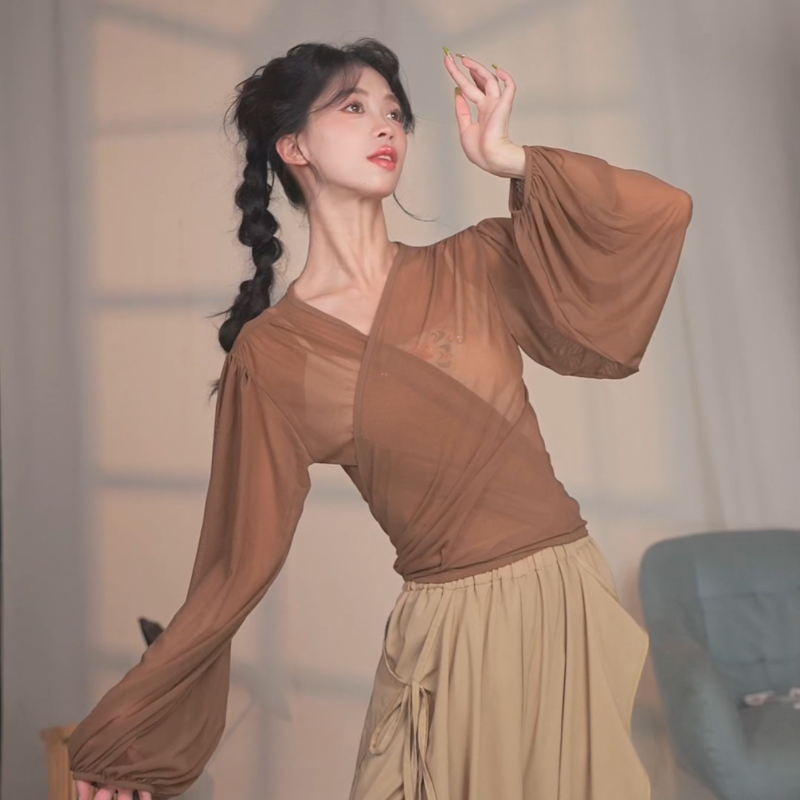 古典舞宽松显瘦V领纱衣舞蹈服上衣中国舞民族舞现代舞基础舞蹈服