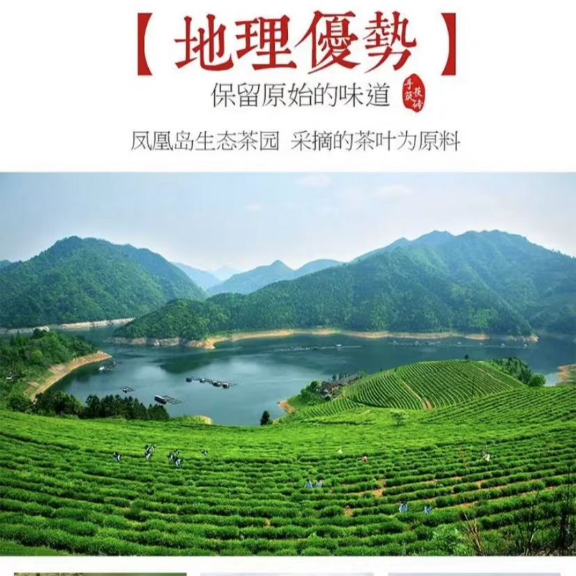 道然茶业代替链接1