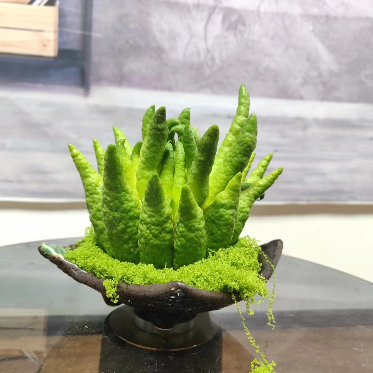 【闻香佛手柑】1-3颗随机发1000g以上