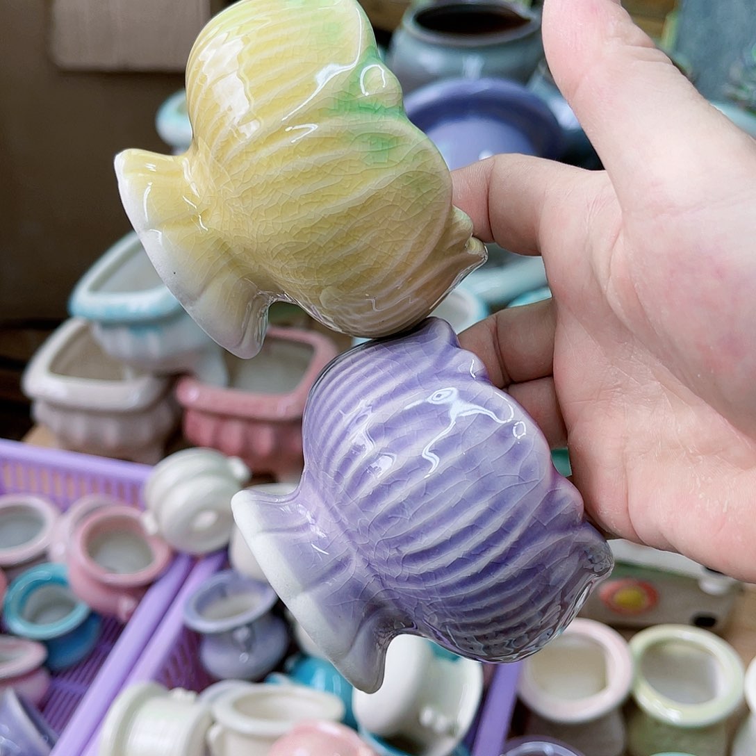 红陶20CM（含）-50CM（不含）