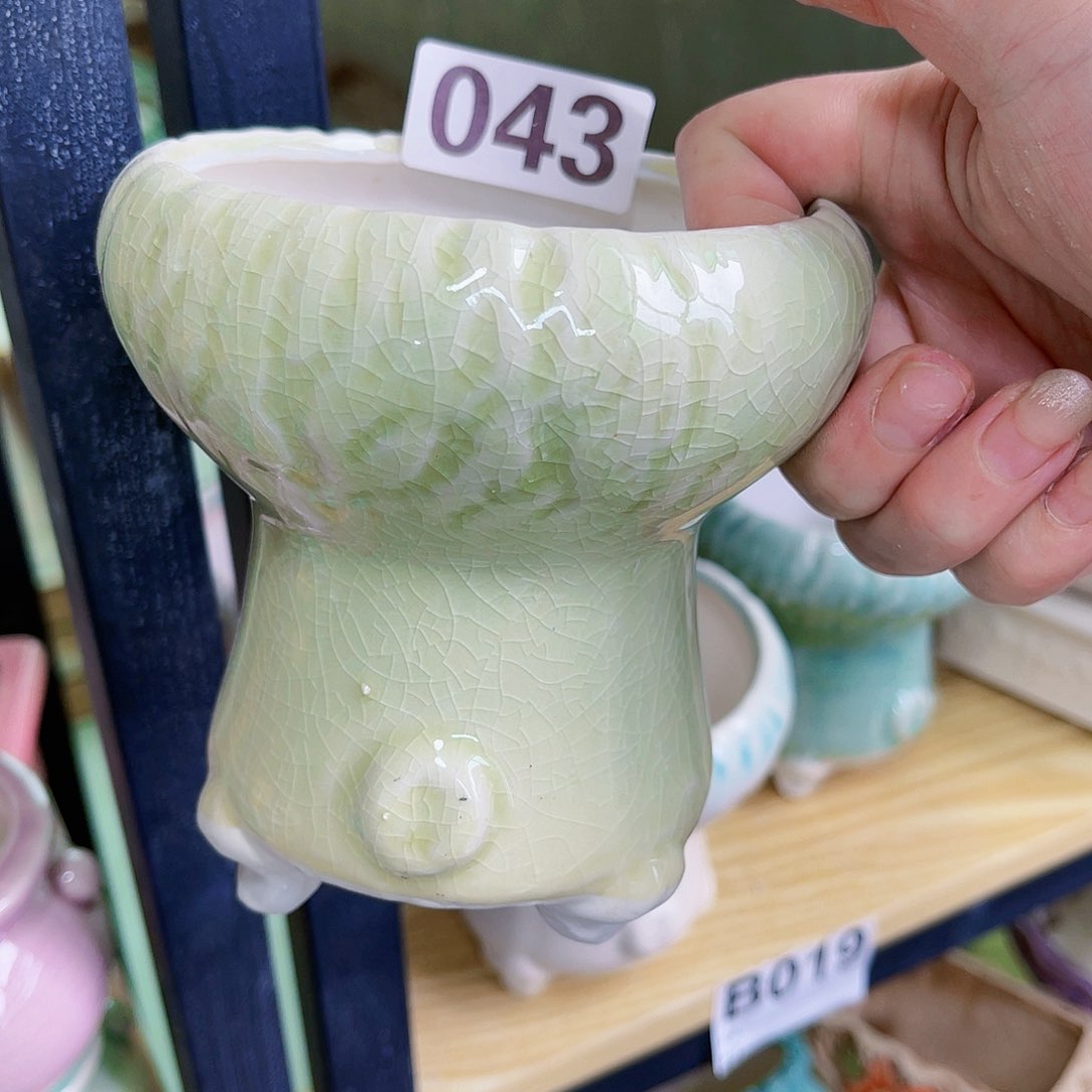 红陶20CM（含）-50CM（不含）