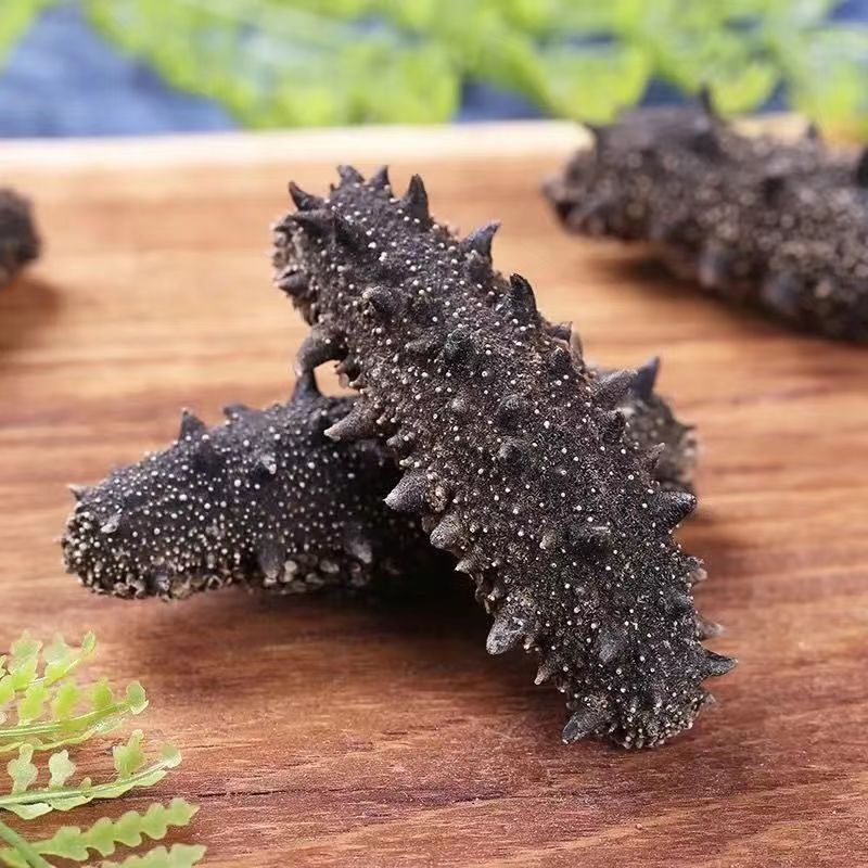 国标辽刺参破价！