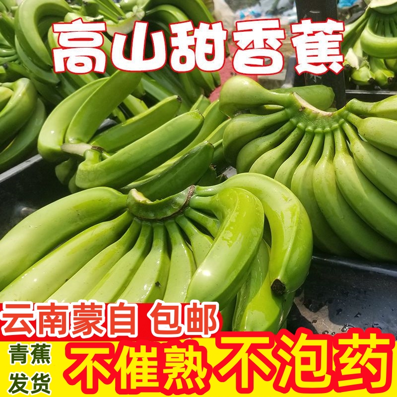 【超甜高山蕉】云南高原香蕉果香鲜甜非芭蕉小米蕉新鲜水果饱满