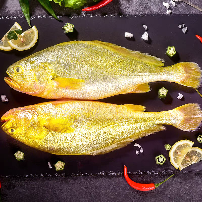黄花鱼海洋海捕新鲜冷冻肉质细腻鲜嫩4条老少皆宜大海美味