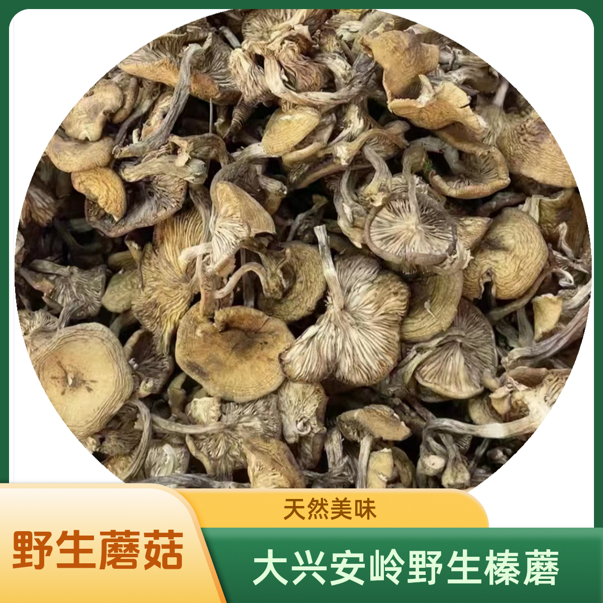 野生天然/东北蘑菇/自然晾晒大兴安岭榛蘑/土墩蘑/小鸡炖蘑菇食用