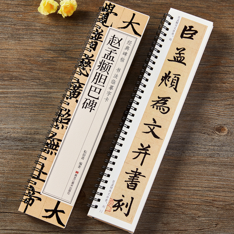 赵孟頫胆巴碑原帖楷书毛笔书法字帖经典碑帖临摹字卡近距离对临