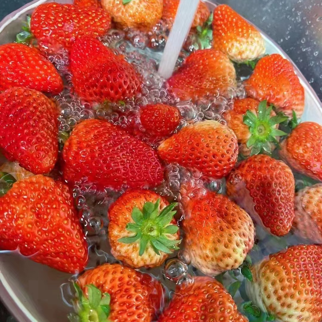 丹东产地红颜草莓/1份约1000g（个别轻微碰伤正常现象，果型有大有小。介意勿拍）