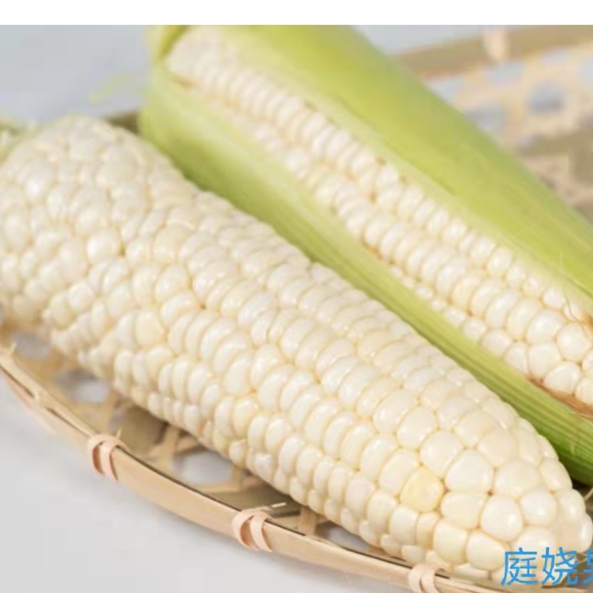 南汇本地糯玉米新鲜采摘3斤/5斤/10斤