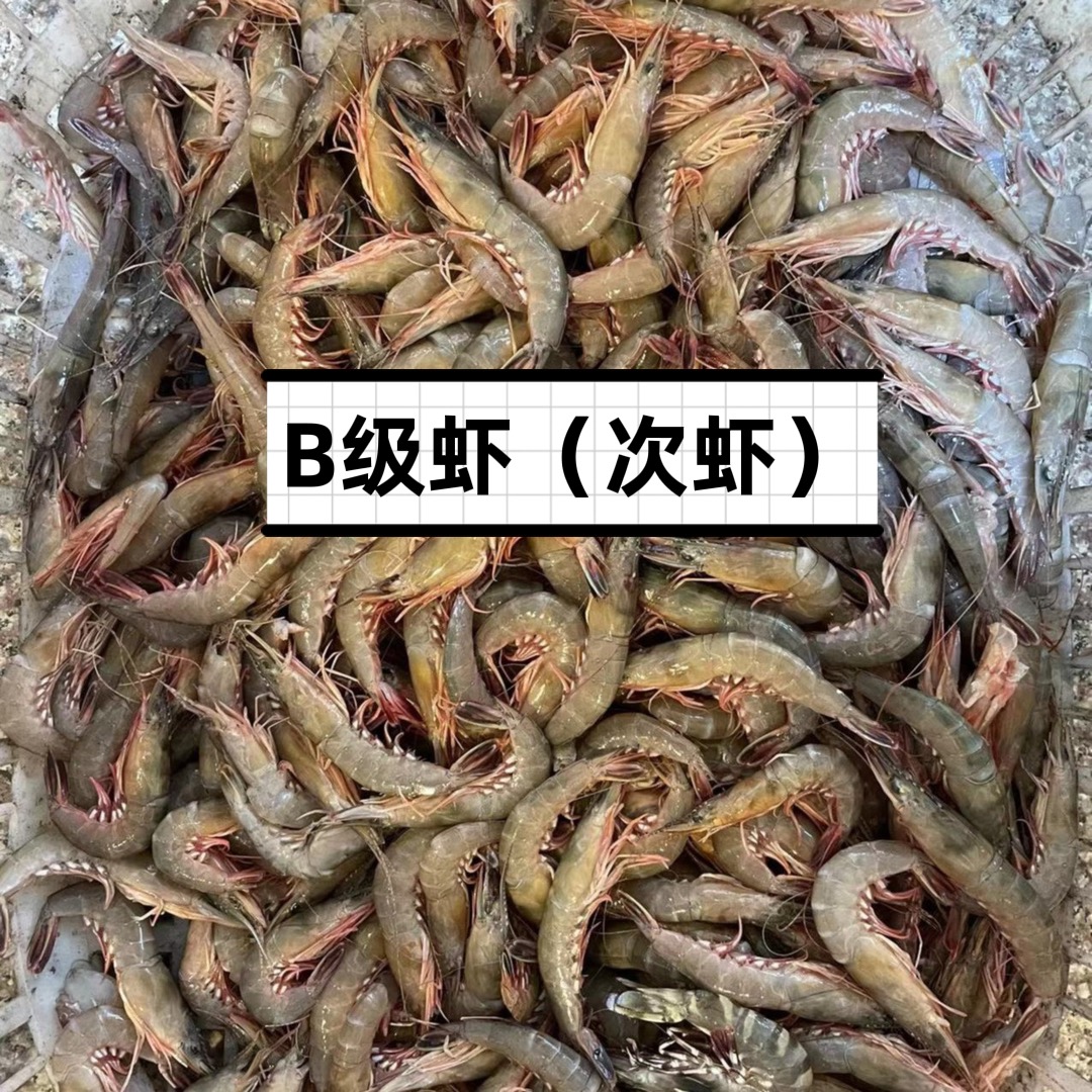 限福建省内购买【B级/残次虾/黑头虾】特价海鲜不支持退货退款