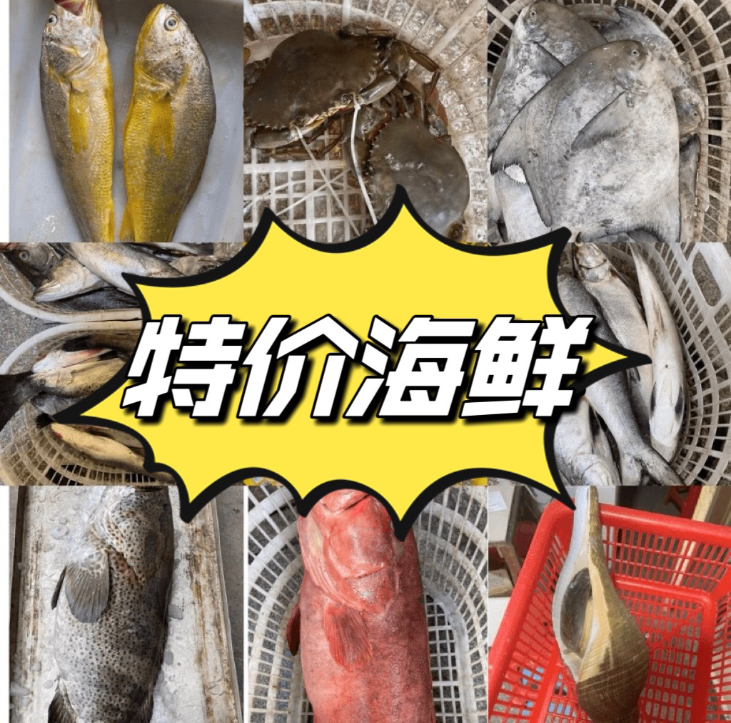 【受伤鱼/残次鱼/特价鱼】特价海鲜不支持退货退款