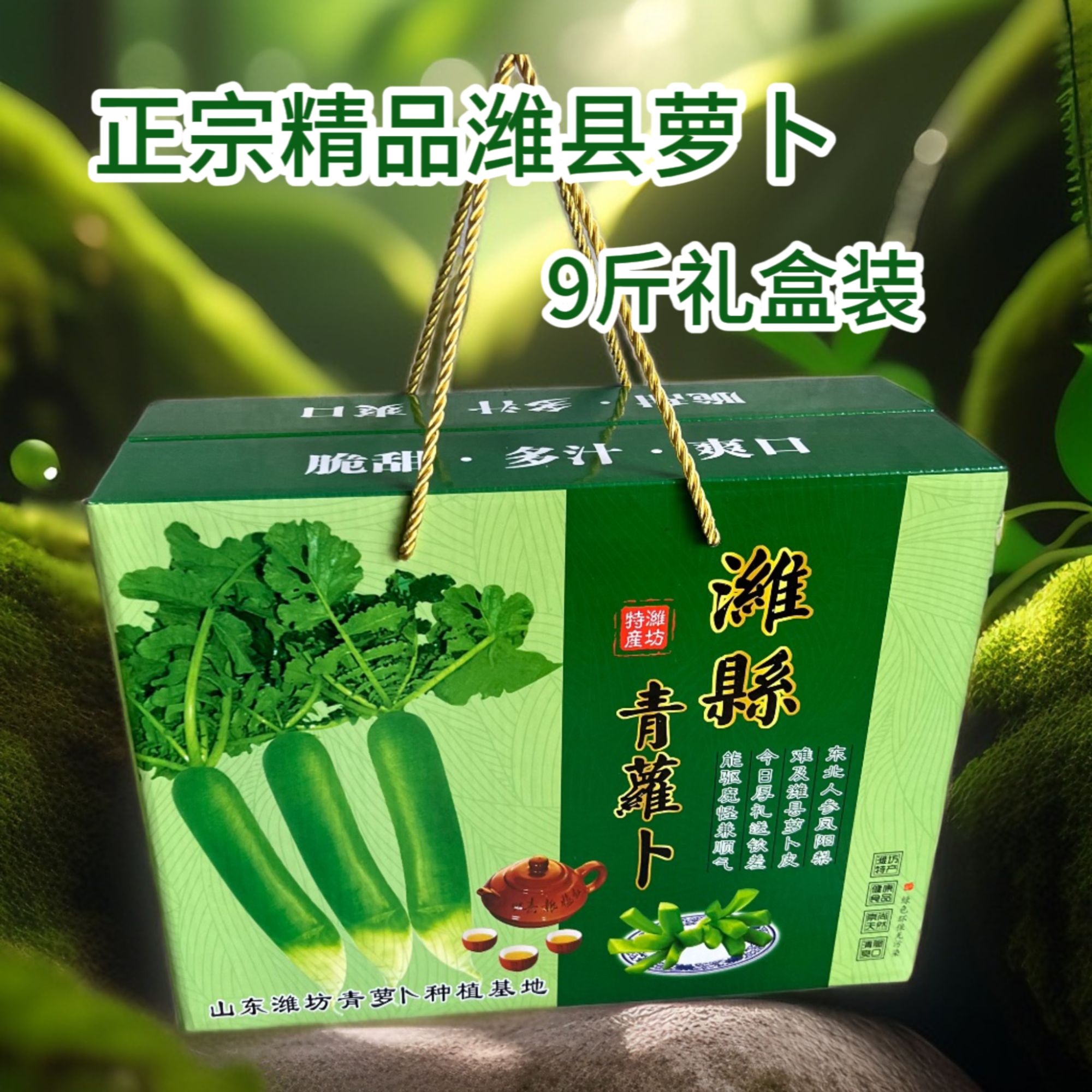 正宗潍坊青萝卜9斤精品礼盒水果萝卜现拔新鲜甜脆多汁爽口产地