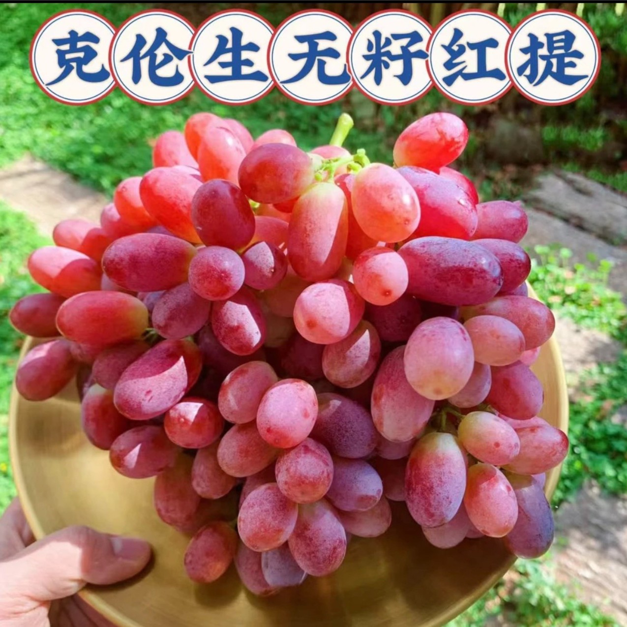 新疆克伦生无核红提 买一赠一 礼盒装 净重6斤