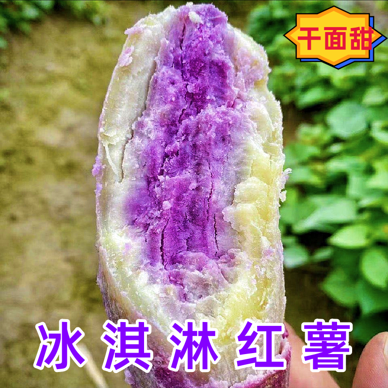 一点红冰淇淋红薯粉糯香甜番薯现挖现发地瓜烤红薯5-9斤包SG