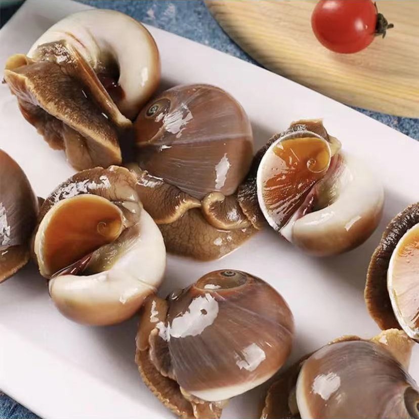 连云港本地猫眼螺 鲜活发货 3斤装 保鲜不包活 新鲜