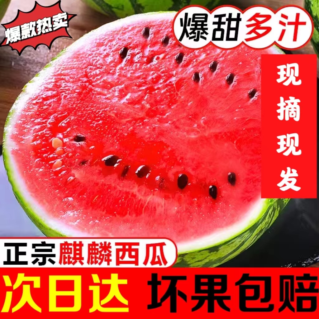 【半价抢】超甜冰糖麒麟西瓜头茬脆甜新鲜当季孕妇水果有籽薄皮多汁