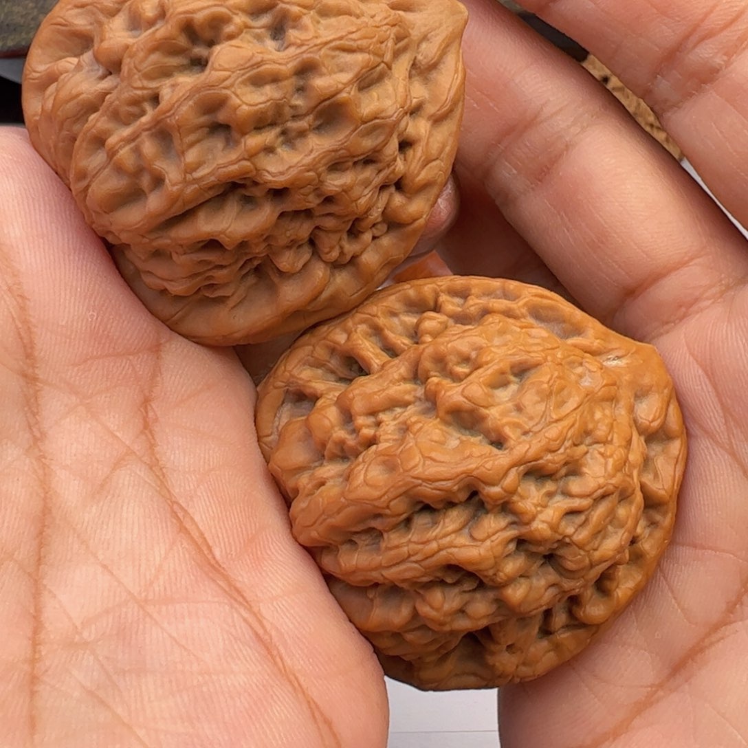 文玩核桃把件J*E42金公子