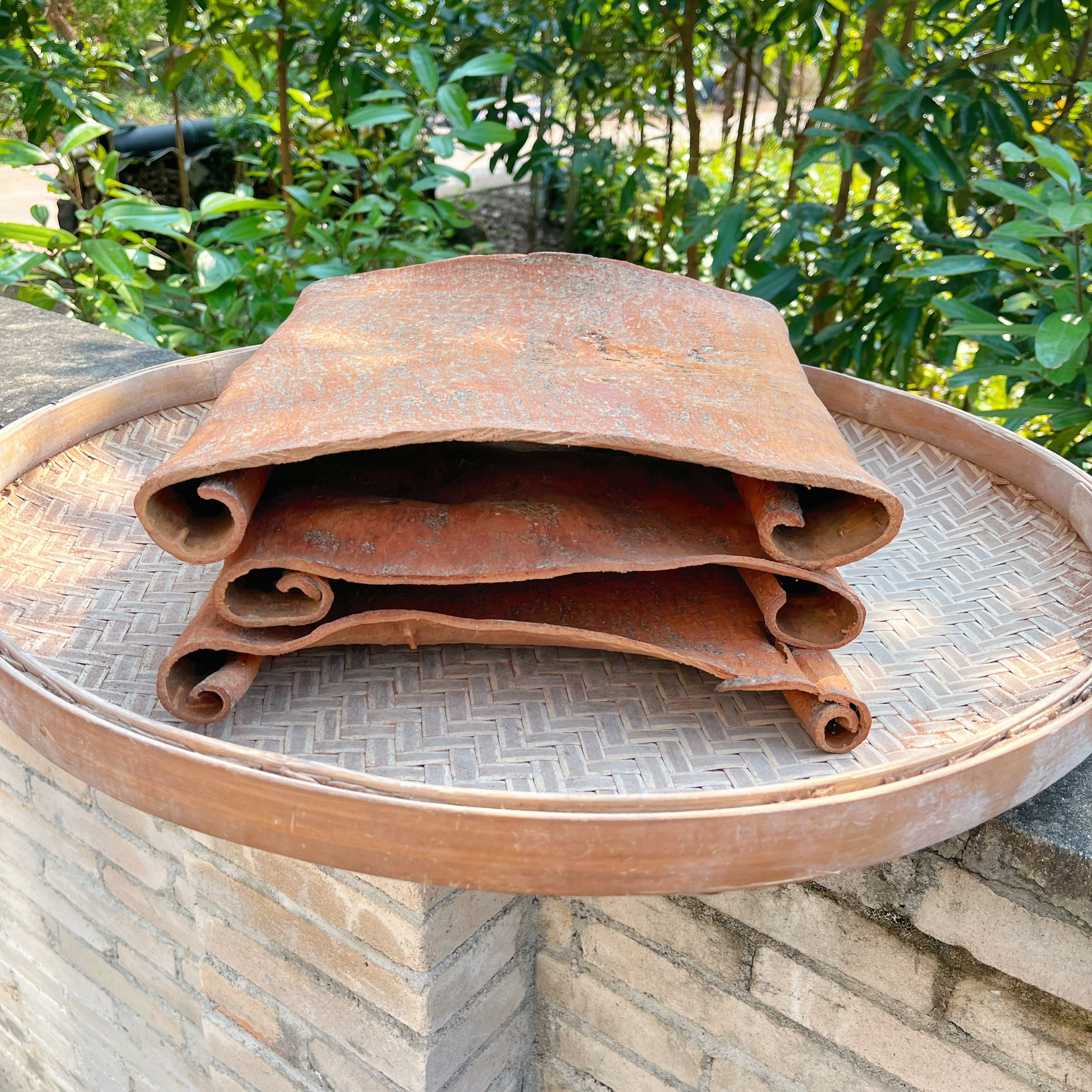 桂皮桂板大料香料干货炖肉卤水火锅调味料