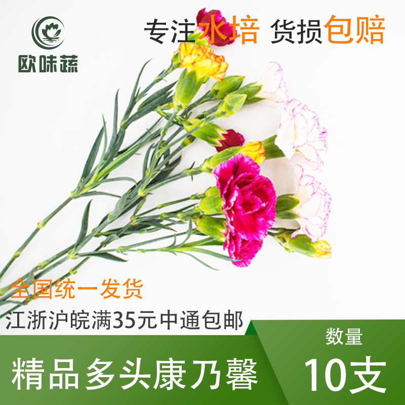 新鲜多头康乃馨带杆子10支/1把 食用花酒店西餐摆盘蛋糕装饰