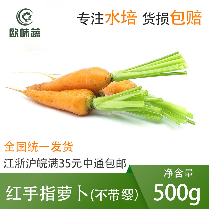 红手指萝卜500g 日料酒店西餐摆盘装饰点缀蔬菜