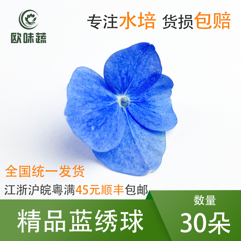 蓝绣球30朵~50朵 摆盘装饰花草  顺丰快递 货损包赔