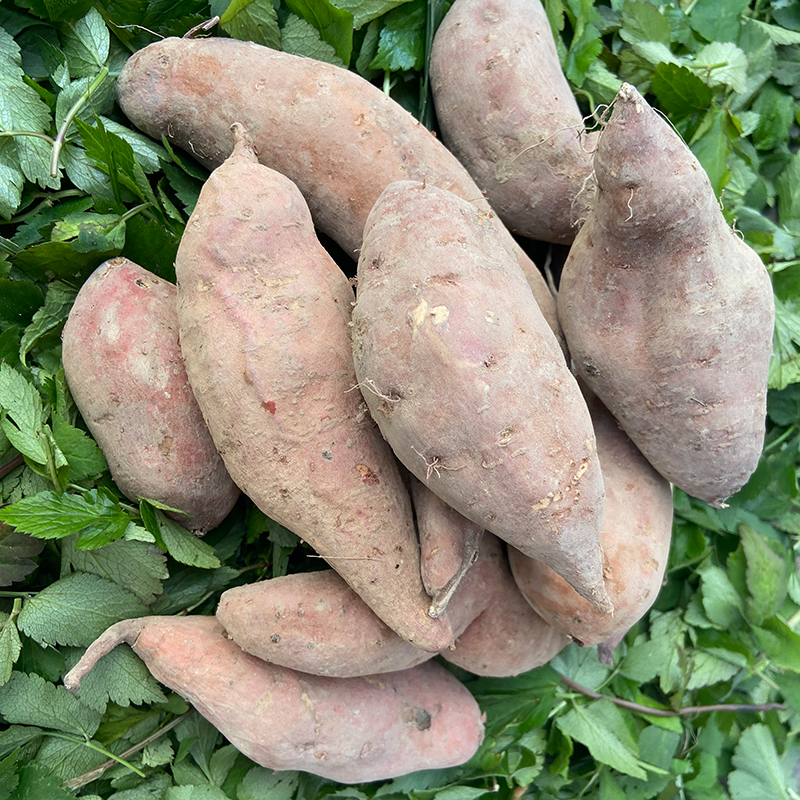 贵州地瓜新鲜现挖红心紫心薯水果蔬菜农家国薯即食蒸煮脆家乡特产