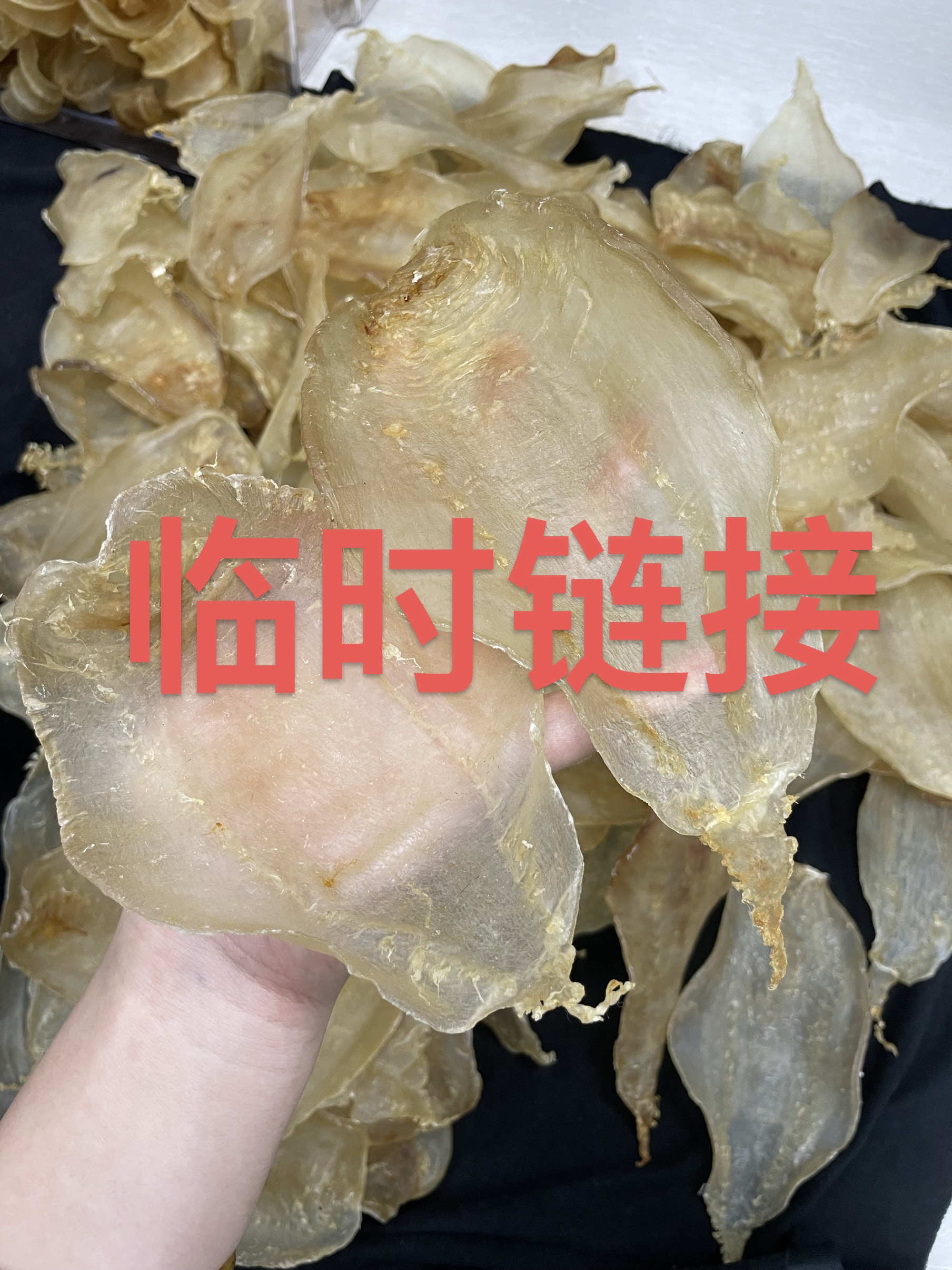 本港土鳘赤嘴胶鱼胶花胶1～500克