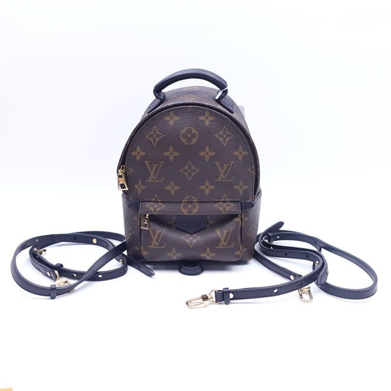 95新 LouisVuitton/路易威登 双肩包/T_ZY0000389881