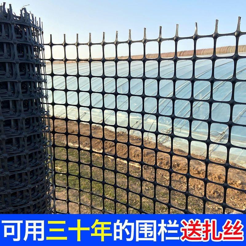 塑料围栏网养殖网玉米网塑料网养鸡网果园围栏防护网特厚新款鸡网
