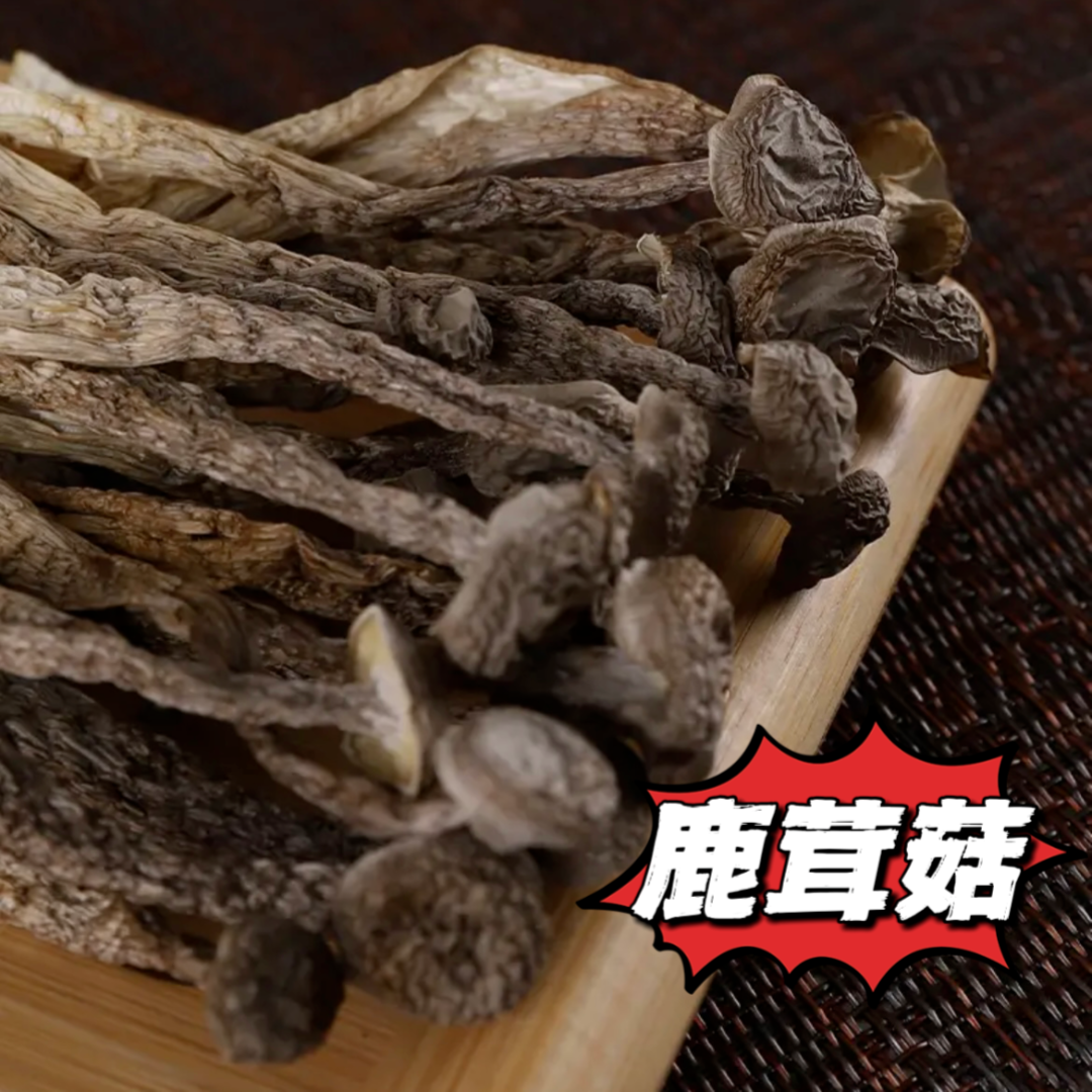 阿喳姐鲜香【鹿茸菇】福建特产香菇土特产批发250g炒菜肉质无硫