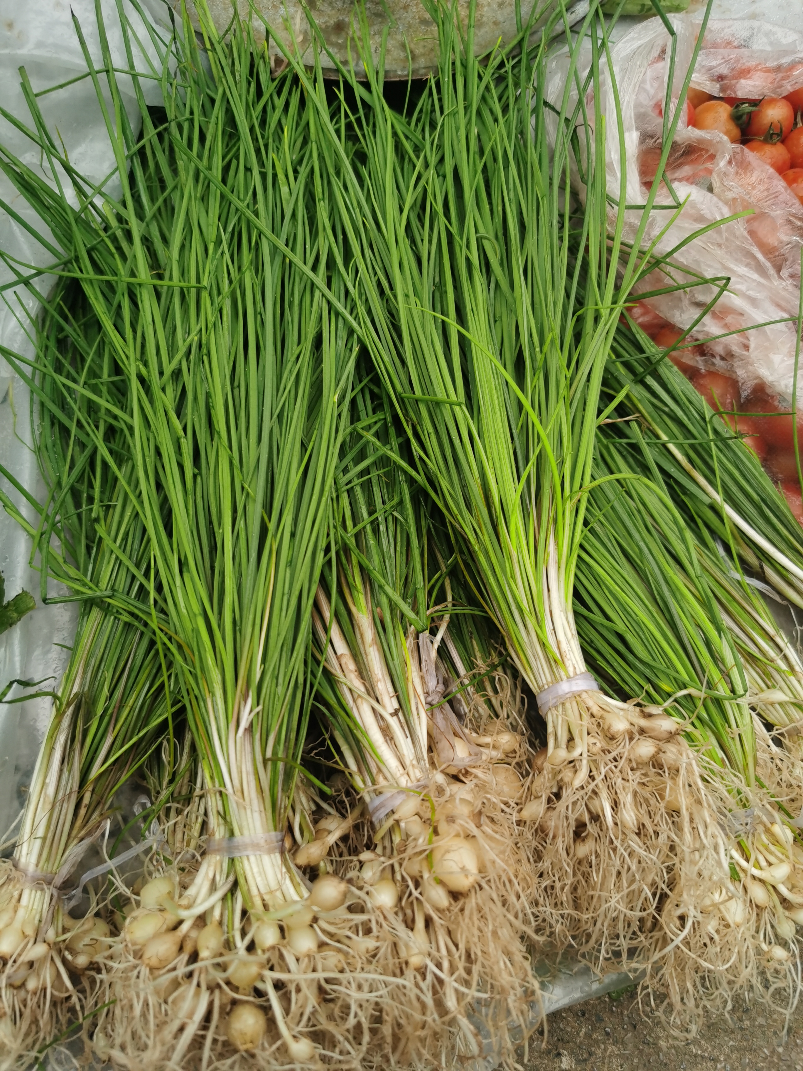 贵州高山本地野葱 苦蒜