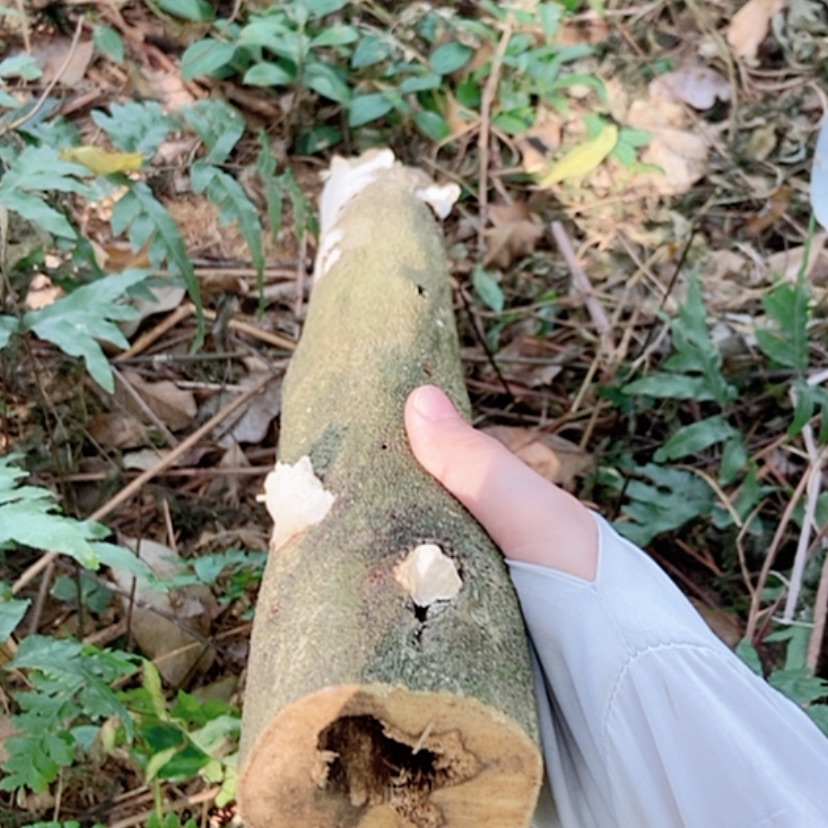 【闪购商品】沉香摆件