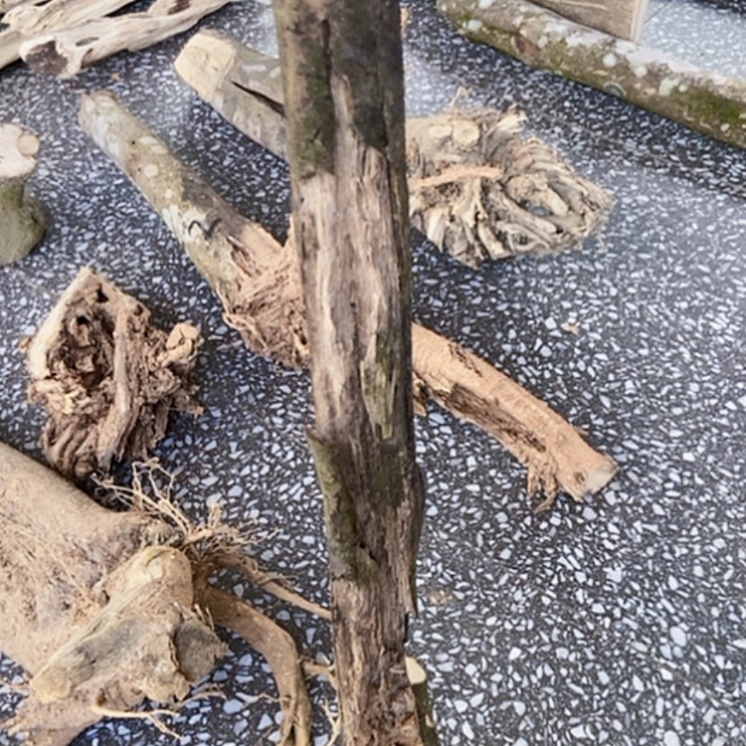 【闪购商品】沉香摆件