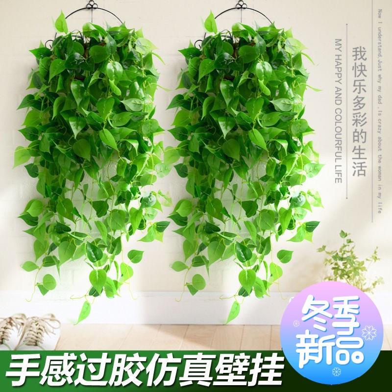 仿真绿萝长藤蔓绿植房间客厅空调墙上塑料假叶子植挂壁绿植壁挂式