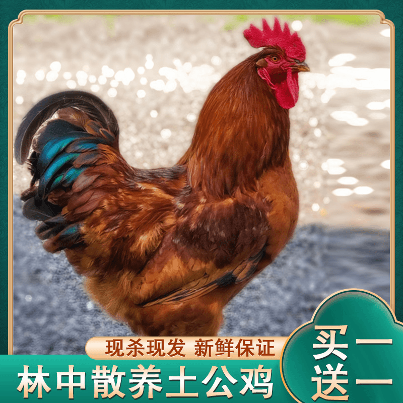 【念慈农场】放养黄脚土公鸡2只毛重10斤净重6斤左右 净膛顺丰冷链