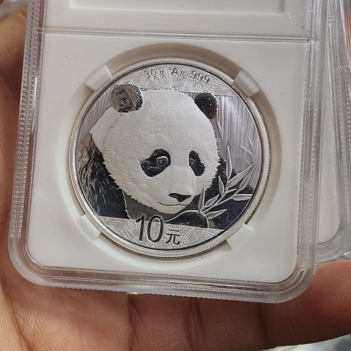 【闪购商品】银2018熊猫