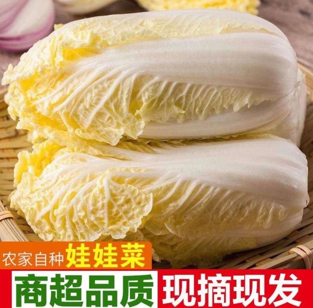 2023年河南本地露天自种新鲜霜打黄心娃娃菜现砍现发5斤装包邮HN