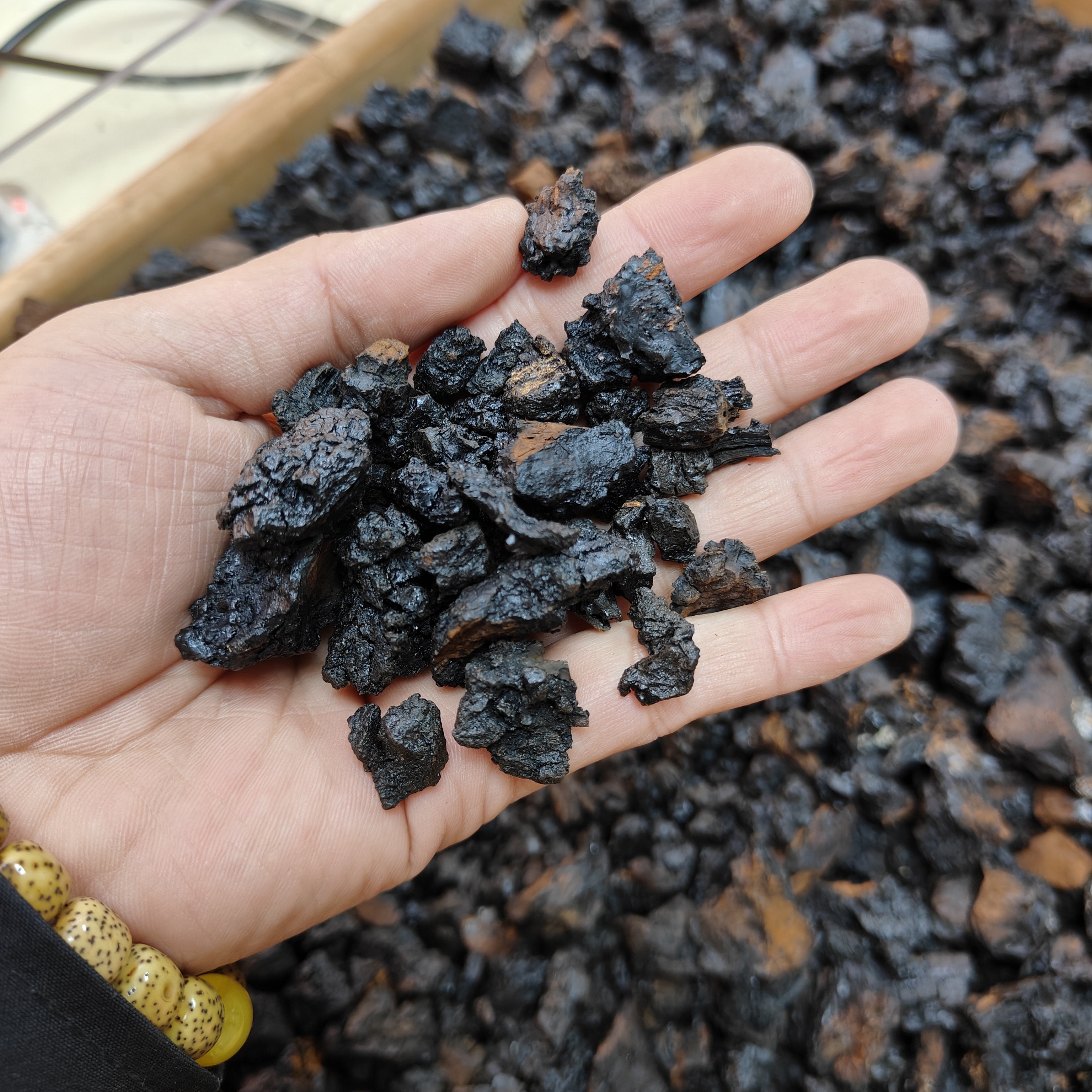 黑金油头 桦树茸250/500g