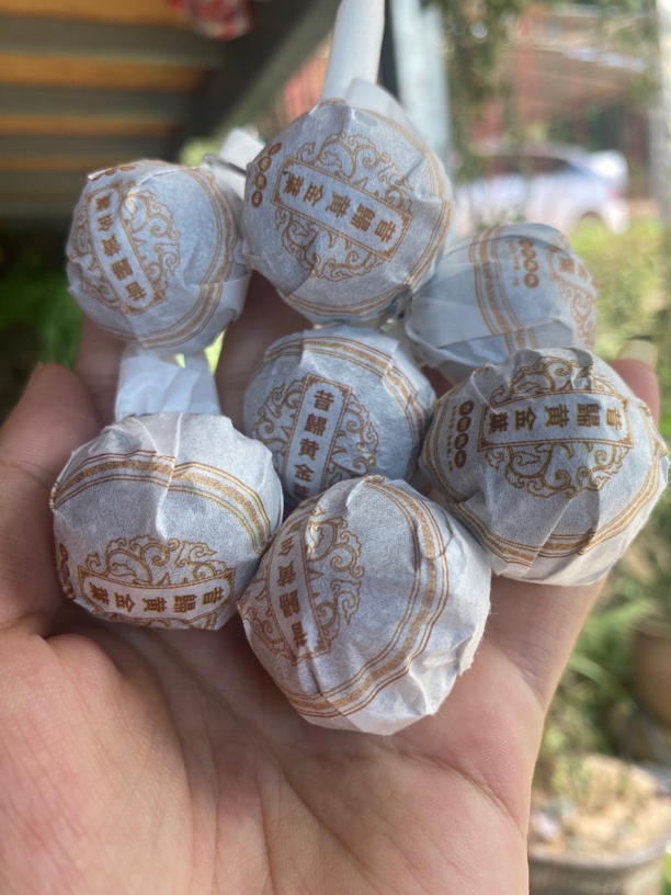 云南普洱茶昔归龙珠迷你小沱茶生茶黄金叶8克手工龙珠焖泡更好喝