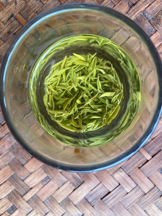 (明前特贡）2025江西遂川狗牯脑淋洋高山产区绿茶生态云雾茶