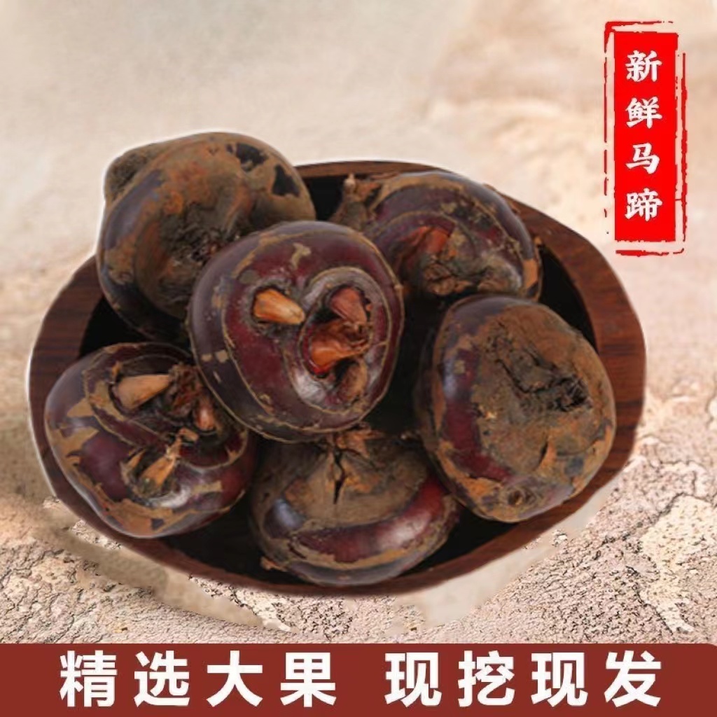 安徽马蹄新鲜带泥红荸荠马蹄荸荠地栗地梨蒲秋蔬菜3-5斤清甜爽口