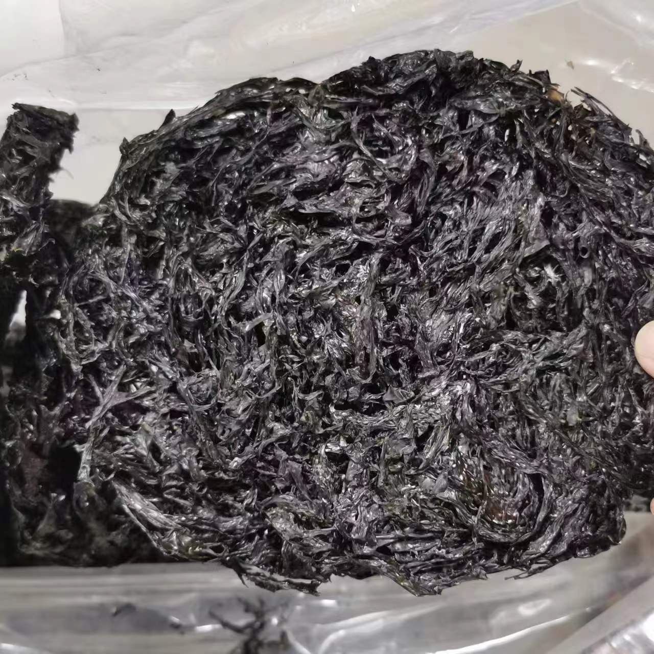 【阿峰推荐】小紫菜好吃煲汤