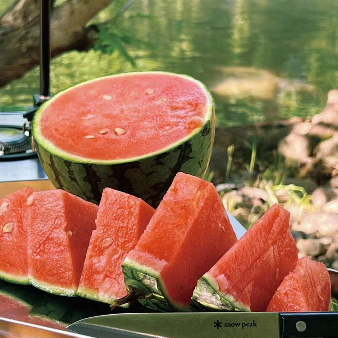 【坏的包赔】正宗超甜8424西瓜现摘冰糖麒麟3-11斤当季美都皮薄