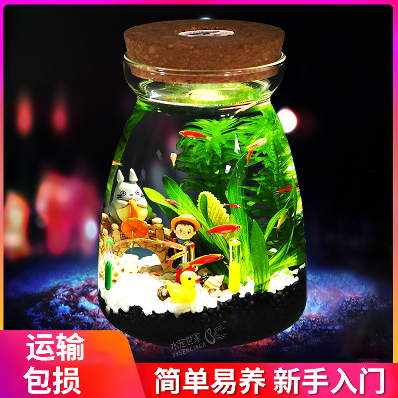 带LED灯迷你水族箱创意diy生态瓶鱼微景观办公桌面小型玻璃鱼缸