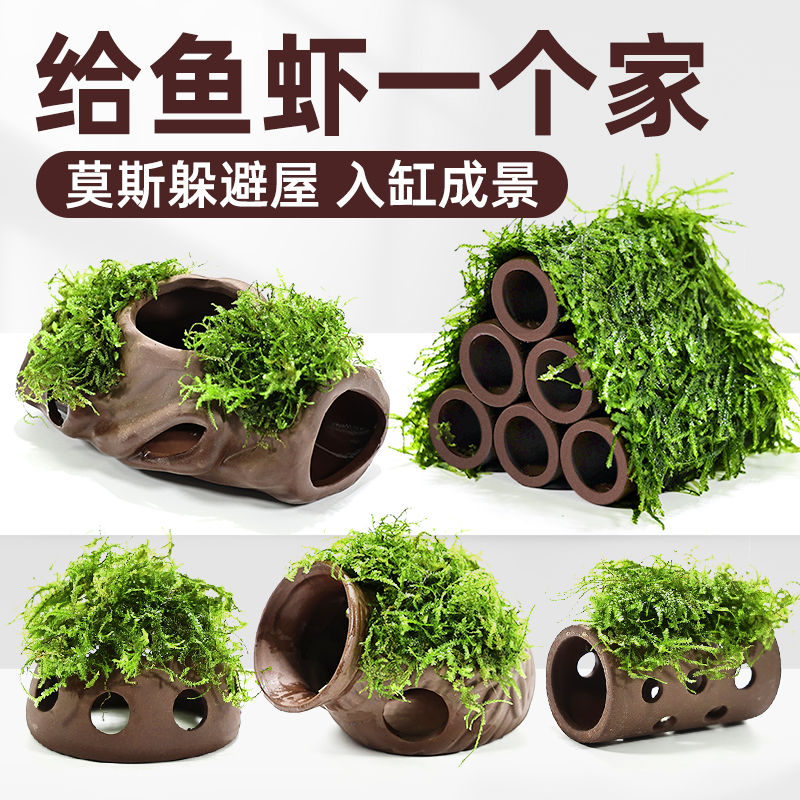 严选水草虾屋植物专业造景紫砂躲避屋装饰阴性牡丹水榕懒人真水草